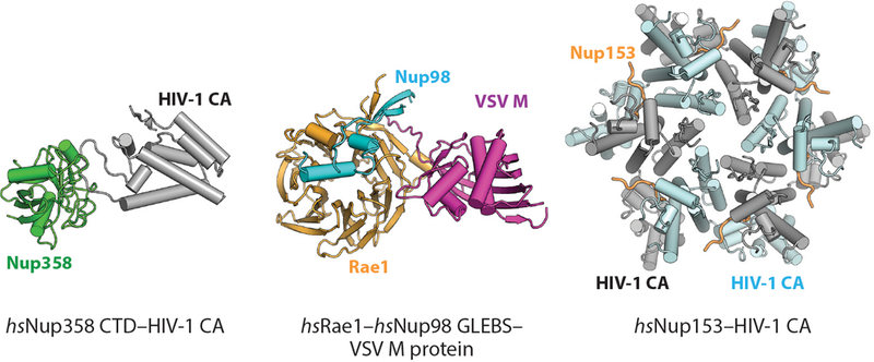 Figure 16