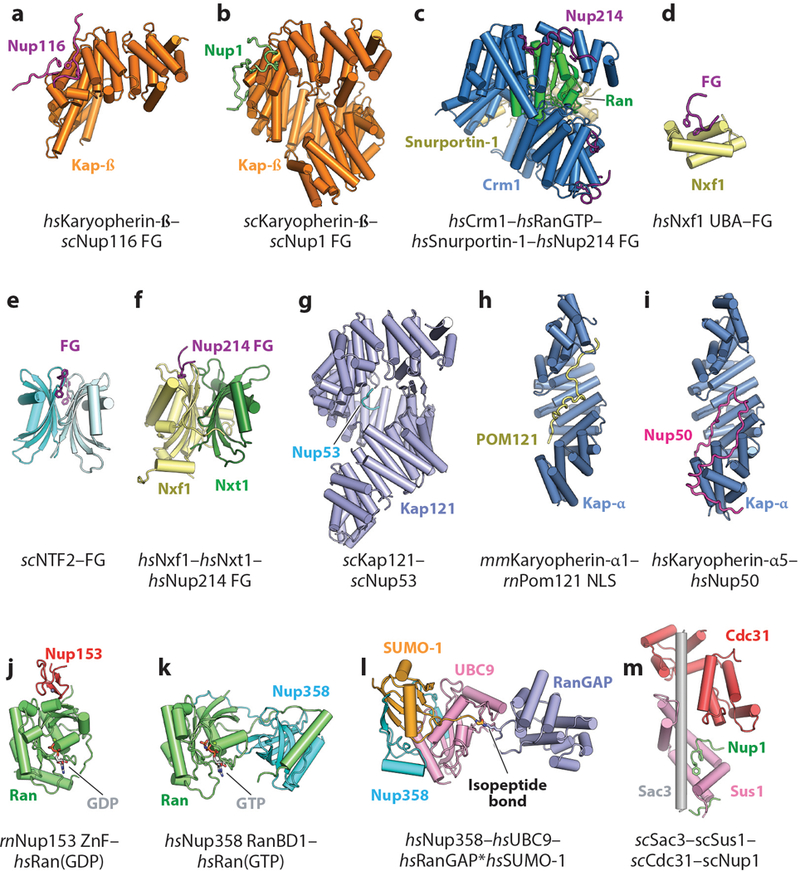 Figure 15