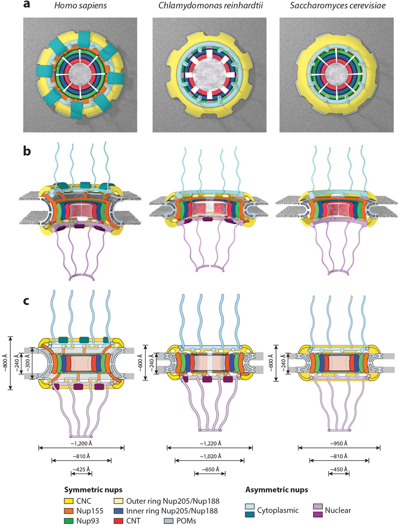 Figure 12