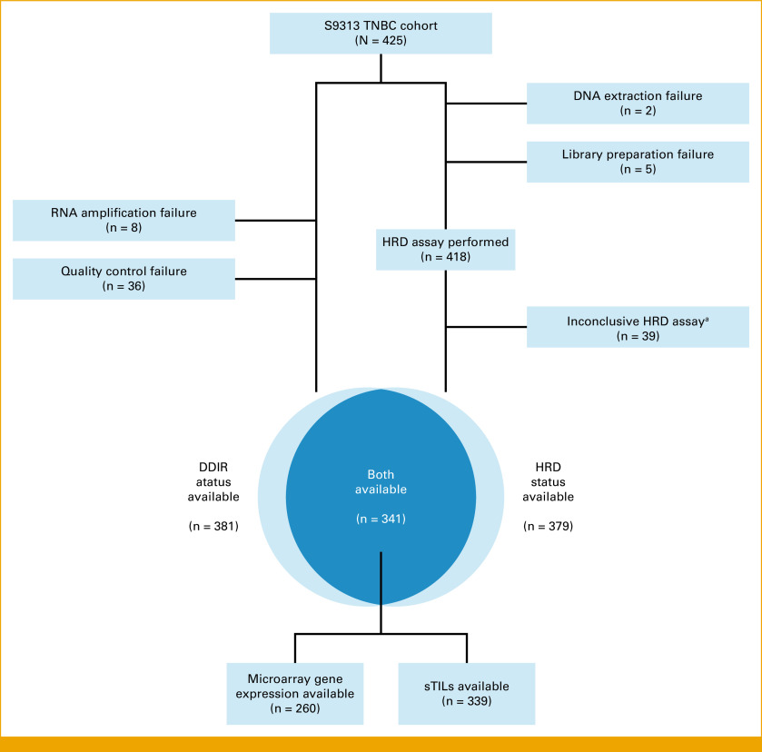 FIG A1.