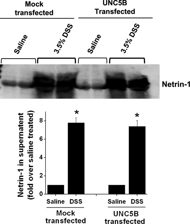 Fig. 9