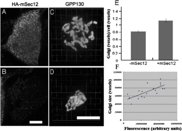 FIG. 13