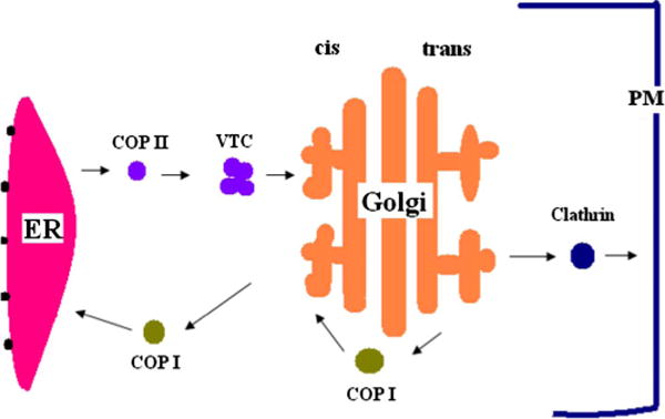 FIG. 1