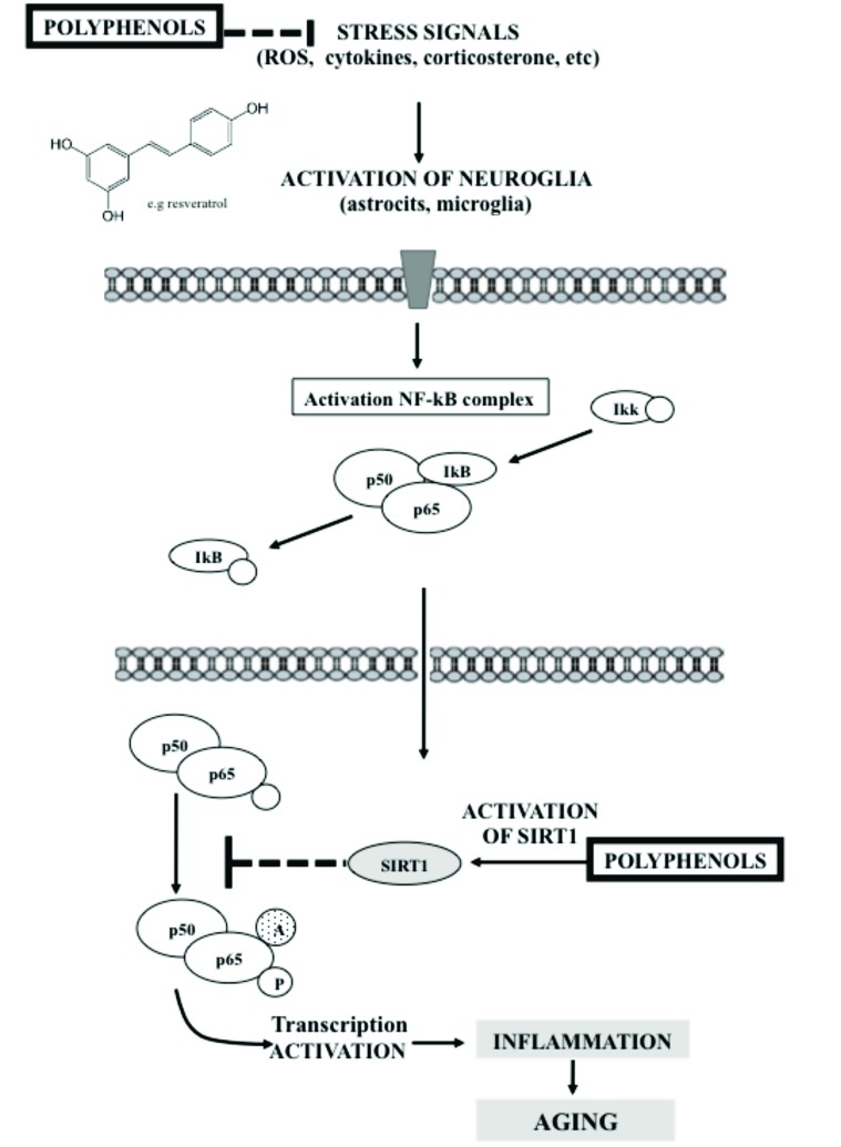 Fig. (1)