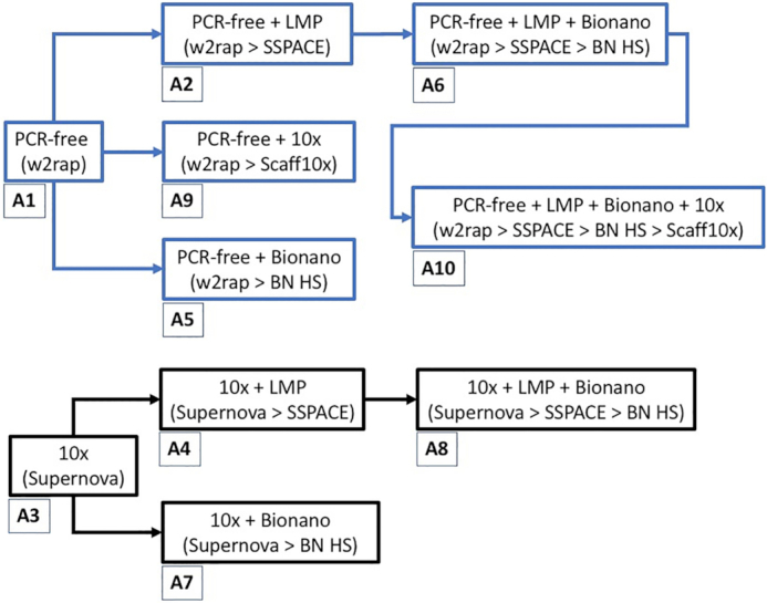 Figure 1: