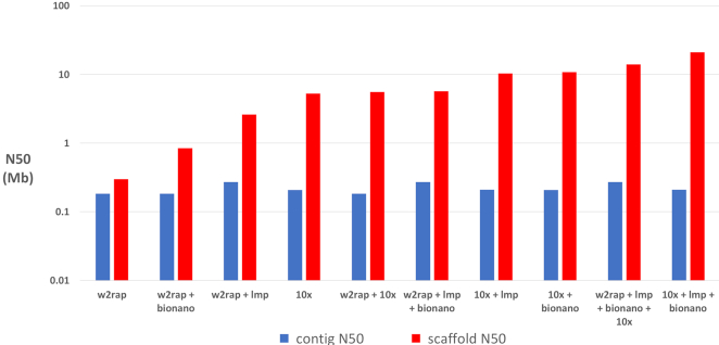 Figure 2: