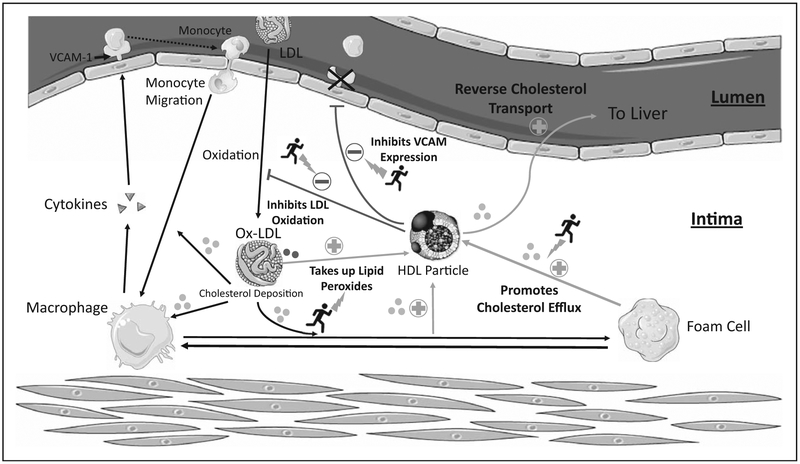 FIGURE 1.