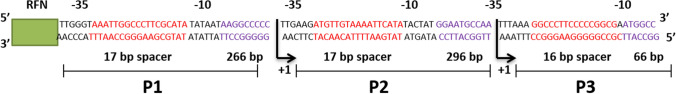 Fig. 3