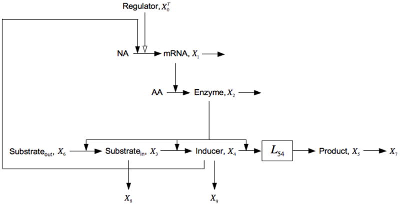 Fig. 7