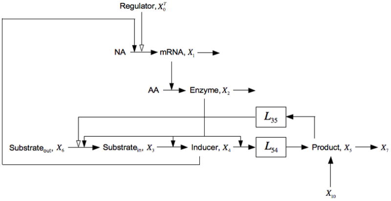 Fig. 5