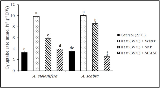 Fig 8