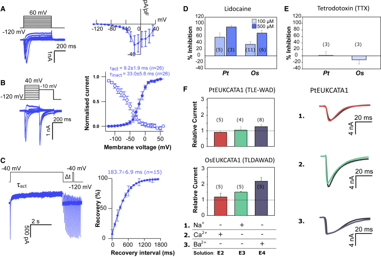 Figure 2