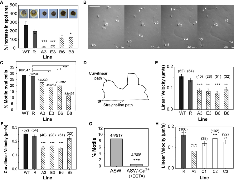 Figure 4