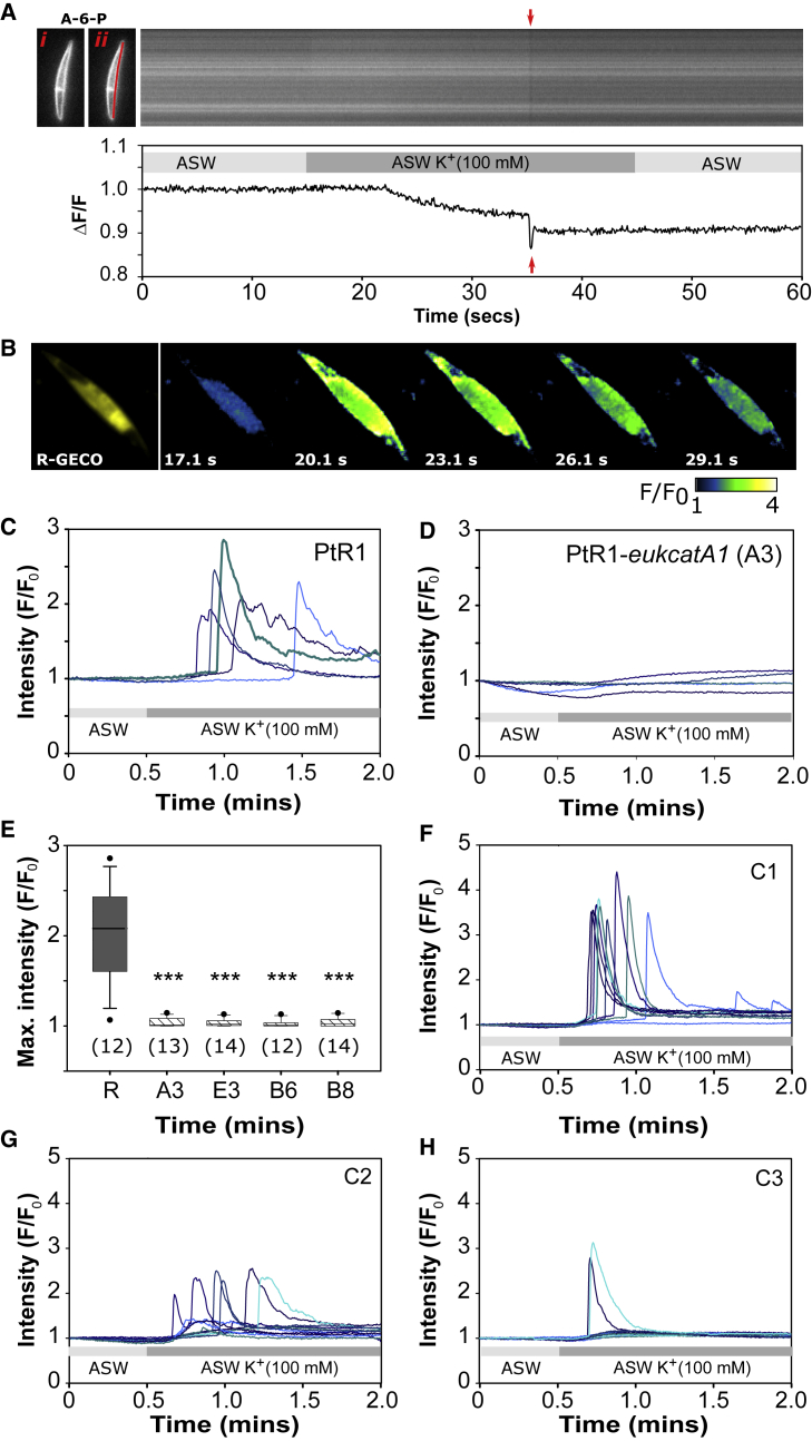 Figure 3