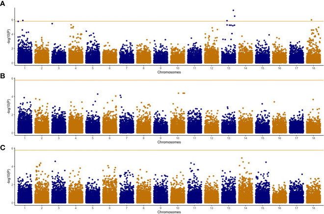 Figure 2