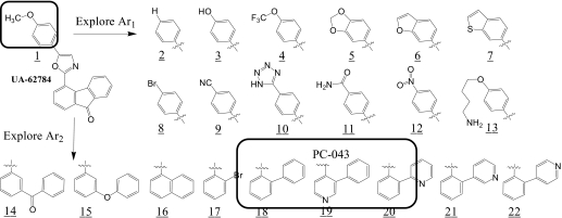 Fig. 3.