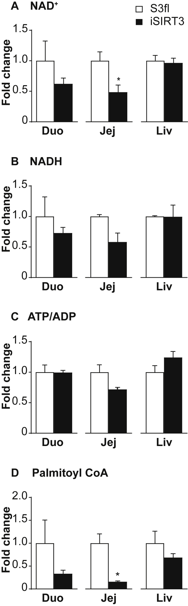 Figure 6