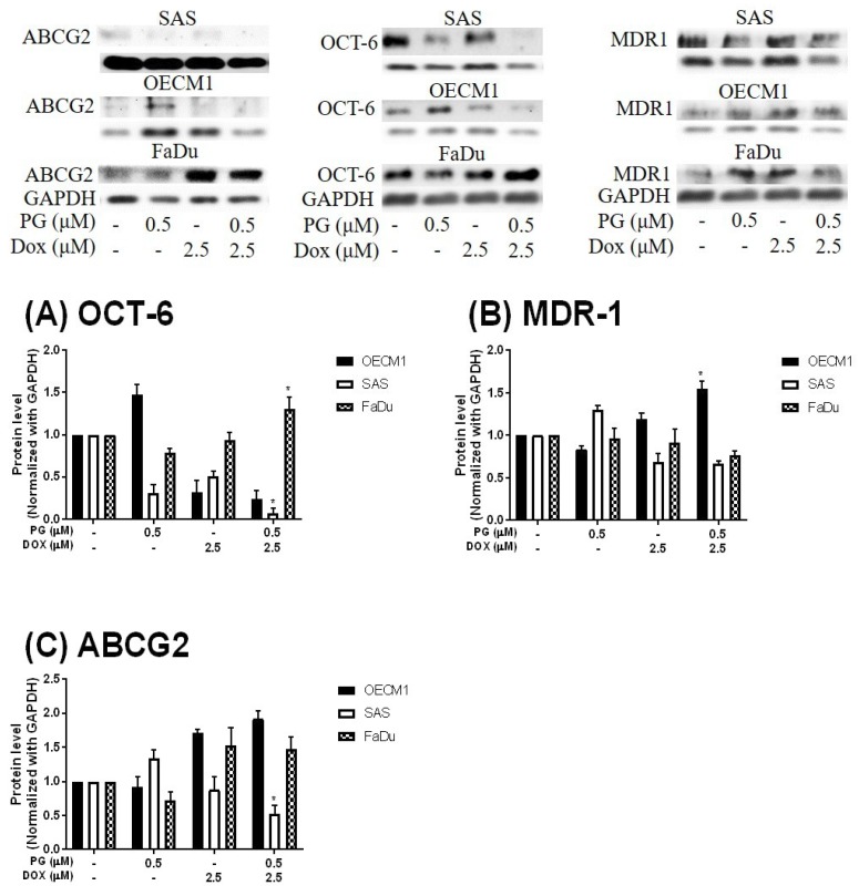 Figure 6