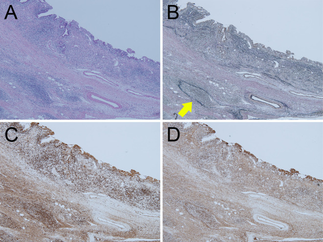 Figure 6.