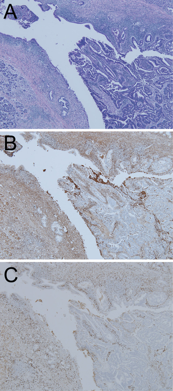 Figure 7.