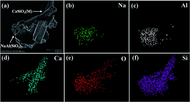 Fig. 13