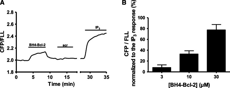 Fig. 8