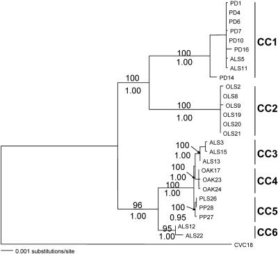 FIG. 2.