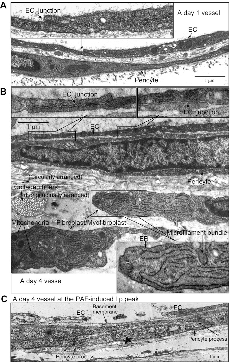 Fig. 8.