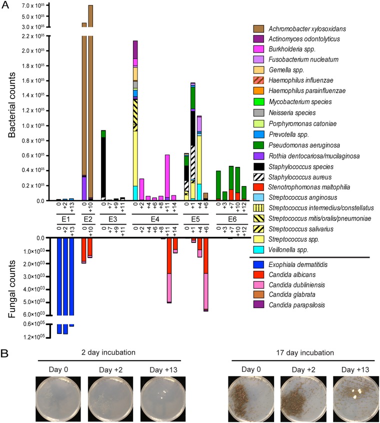 FIG 3 