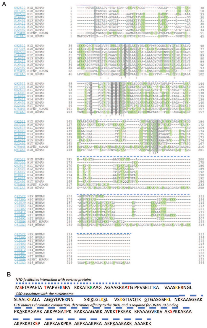 Figure 1: