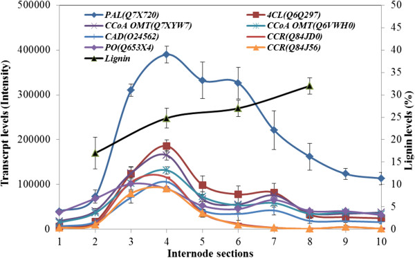 Figure 10