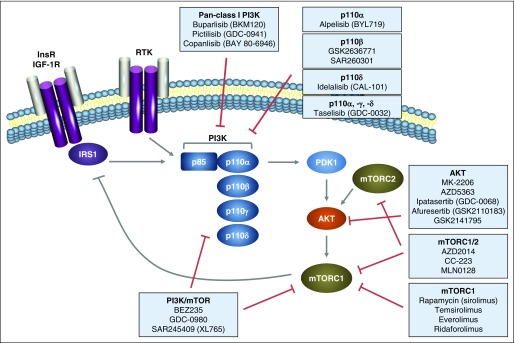 Fig 3.