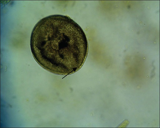 Figure-3