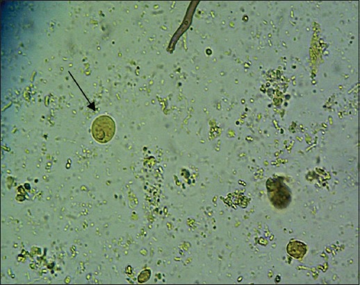 Figure-6