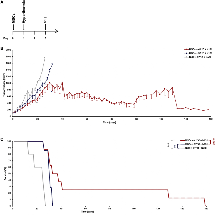 Figure 6