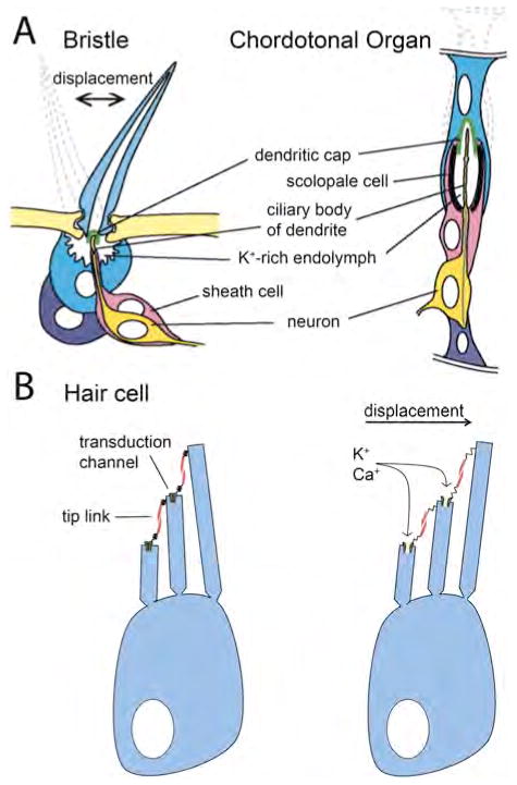 Fig. 2