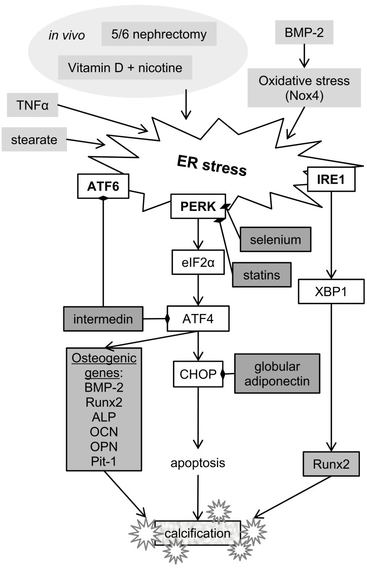 Fig. (5)