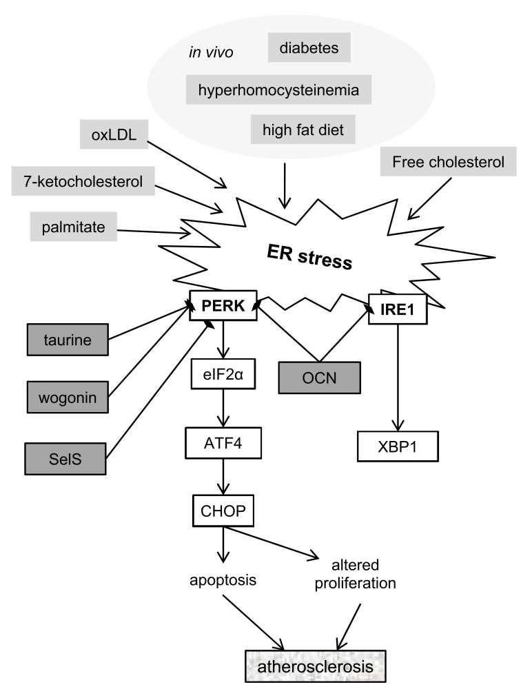 Fig. (2)