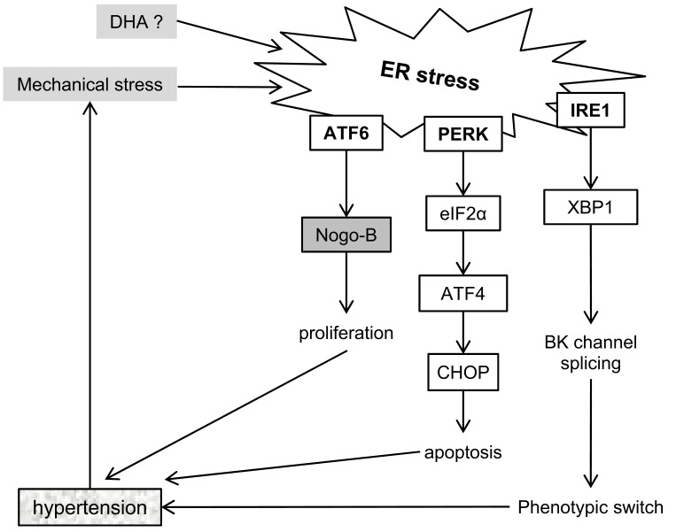 Fig. (3)