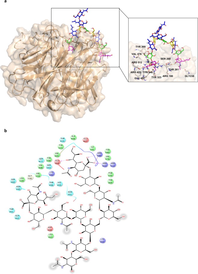 Figure 7