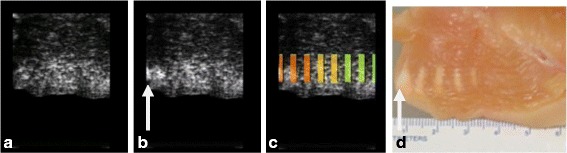 Fig. 9