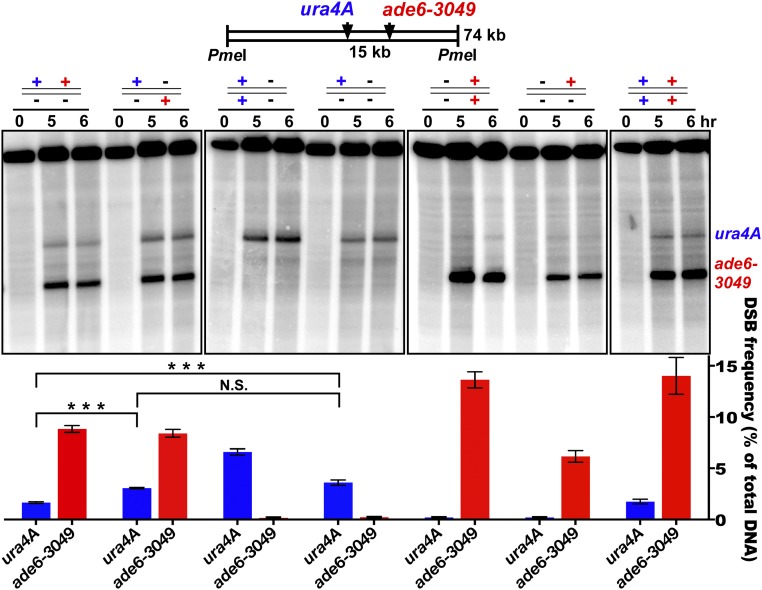 Fig. 2.