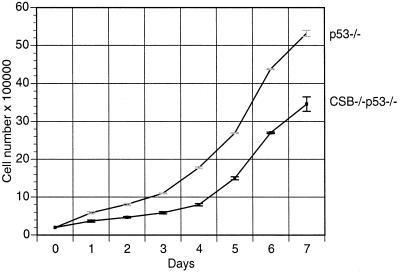 FIG. 7