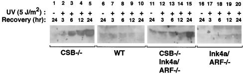 FIG. 6