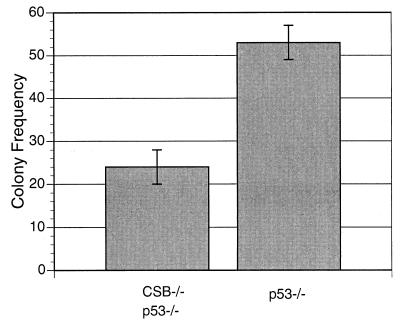 FIG. 9