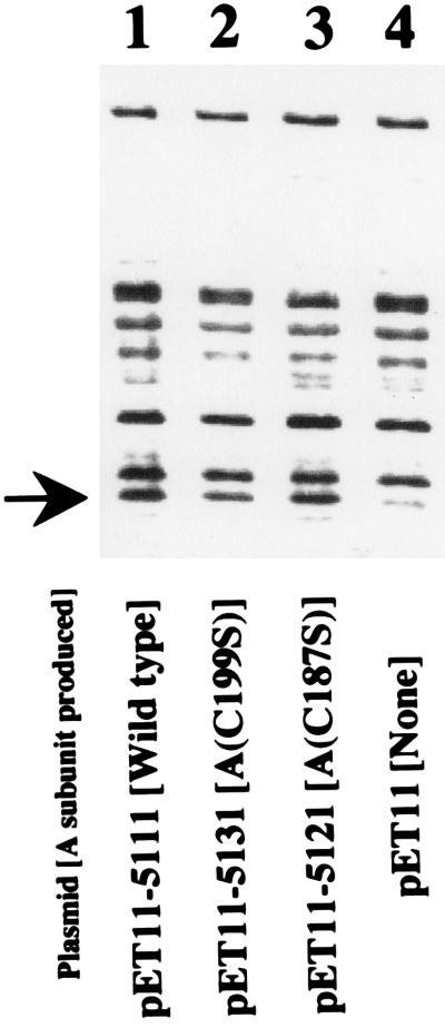 FIG. 1