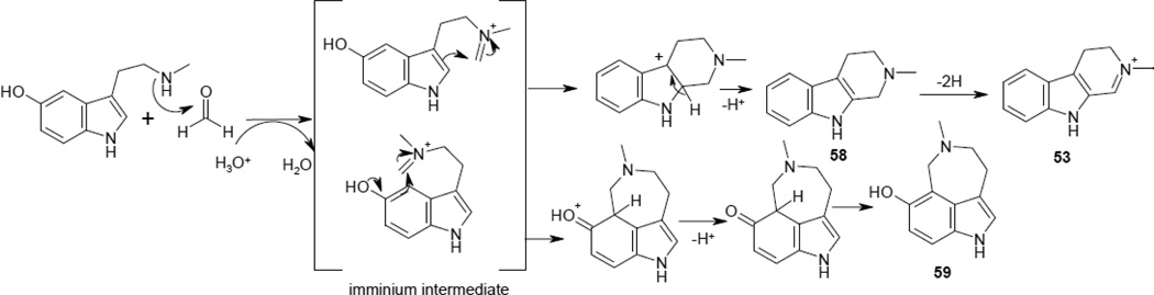 Scheme 3