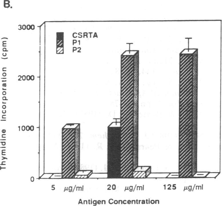 graphic file with name pnas01055-0426-b.jpg