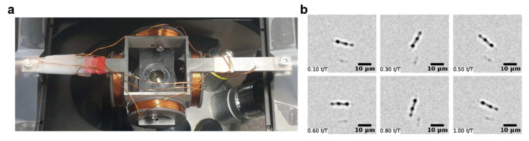 Figure 7