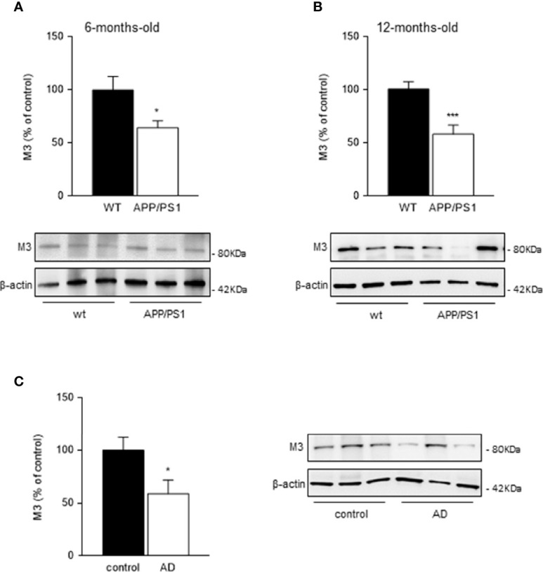 Figure 3